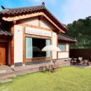 밸런스독 이미지