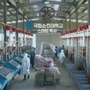 자원한우 이미지