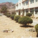 임동중학교 이미지