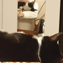 이레푸드(어울림) | 난 그래도 부둣가에 가서 새우깡 좀 얻어 먹어야 한다고 생각해