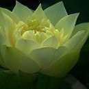 꿈이 있는 곳 이미지