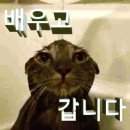 한체대 청도 | 그리고 갑차기스러운데 뺀드 보러가도 돼?