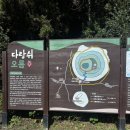 한국택시구미협동조합 | 제주 세화리에서 힐링과 재미를 찾는 방법