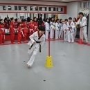 경성태권도 이미지