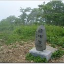(사)태백생명의숲 이미지
