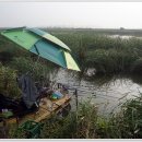 중앙낚시 이미지