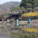 물미 이미지