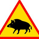 멧돼지집 이미지