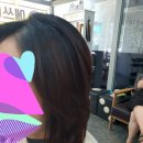 에쓰에쓰 이미지