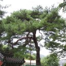 절부마을입구 이미지