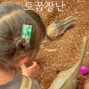 노리터349 부산점 이미지