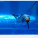 장생포고래박물관 이미지