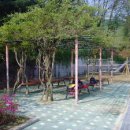 양지초교 이미지