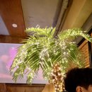 군자 술집 &#39;밥술집 열이네&#39; 솔직후기