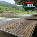 봉강민박 | 광양 가볼만한 곳 물놀이하기 좋은 백운산성불계곡민박 농심정 평상대여