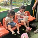 아쿠아앤쥬 | [공지] 청주실내동물원 데이트 버드앤쥬 주말 아이랑 가볼만한곳