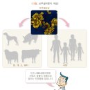 사람 브루셀라증