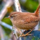 태백산맥거리3 이미지