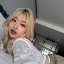 머리하는이유 - 남구 회재로1218번길 10 | 머리하는이유