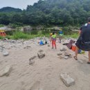 우래골 대추나무 농원 이미지