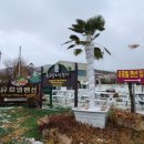 경주 풀빌라 펜션 가성비 좋고 놀거리 많은 유로빌펜션 31개월 아기랑 영국마을 캠브리지 후기
