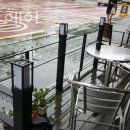 엘리스헤어?? 이미지