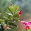 고성풀하우스풀빌라 이미지