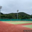정관체육시설 테니스장 | 🏸 [안양 테니스장 추천] 서조체육시설 테니스장 예약 방법부터 실제 후기까지!