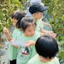 바다의별유치원 이미지