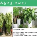 광명화원 - 과천시 경마공원대로 90-6 | 광명화원