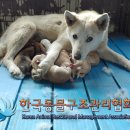 봉성로 이미지