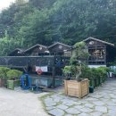 로뎀나무 | [Real Local Trip] 충남 공주 계룡산 여름나들이 하기 좋은 ‘동학사로뎀나무펜션’