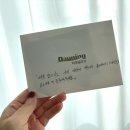 세종 다우닝라운지 에서 일루전 구입 후기