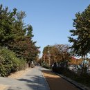 경춘선숲길 이미지