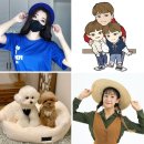 주식회사 엔티 스타투데이