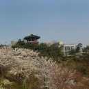 산들레