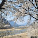 마성면행정복지센터 이미지