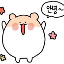 데일리 코인노래연습장 이미지