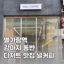 별내 애견동반카페 별가람역 바스크 치즈케이크 맛집 널커피 null coffee
