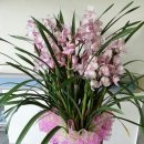 의왕시보건소 이미지