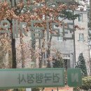 건국 행정사 이미지