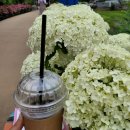 유구천 공중화장실 | 제1회 공주 유구 색동 수국 정원 꽃축제 감상 포인트와 먹고 후회한 음식점 후기 포함입니다.