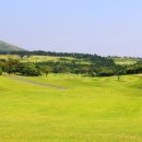 (주)캐슬렉스제주 이미지