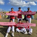 금광태권도 이미지