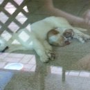 꽁지펜션 이미지