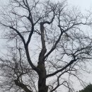 금광영농조합법인 이미지