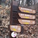 이사주당?유한규묘 이미지