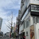 수영동 이미지