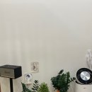 청주왁싱샵 알니쥬 왁싱, 다리 왁싱 받은 후기