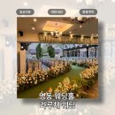 황실부페 | [명동 웨딩홀] 하늘이 열리는 로맨틱한 웨딩, 아이리스 홀 하객 방문 솔직 후기! - 라루체